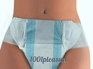 1001pleasure