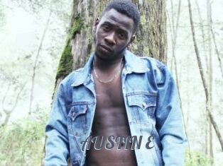 AUSTIN_E