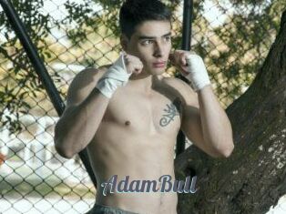 AdamBull