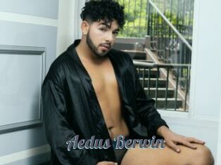Aedus_Berwin