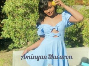 AminyanMacaron