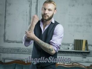AngelloStallion