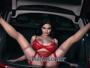 AnisiaCorner