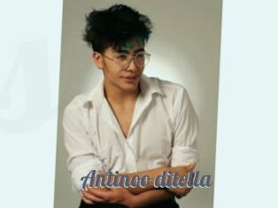 Antinoo_ditella