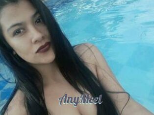 AnyMeel
