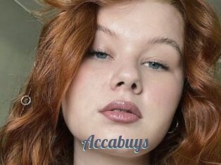 Accabuys