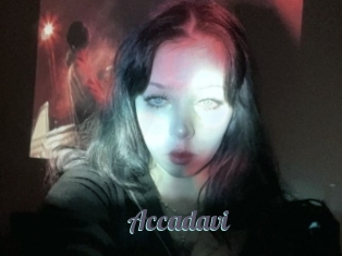 Accadavi