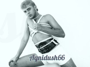 Agnidush66