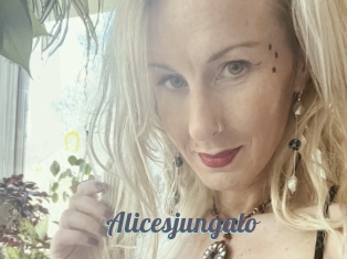 Alicesjungalo