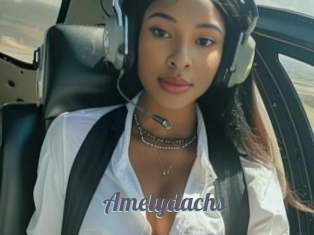 Amelydachs