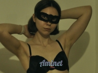 Aminet