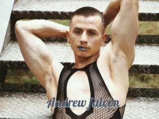 Andrew_falcon