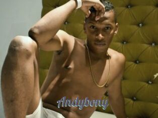 Andybony