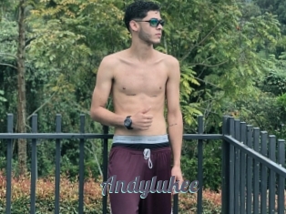 Andylukee