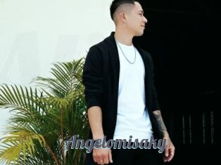 Angelomisaky
