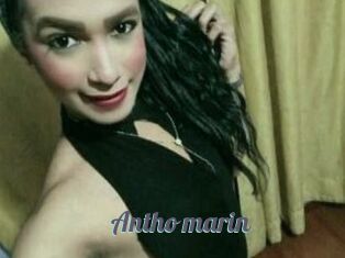 Antho_marin