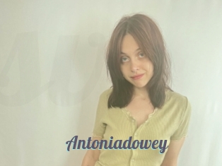 Antoniadowey
