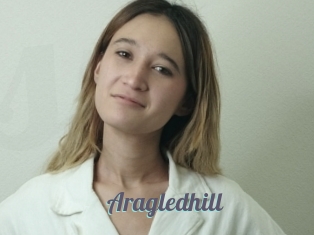 Aragledhill