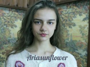 Ariasunflower