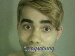Bongsohung