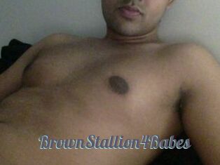 BrownStallion4Babes