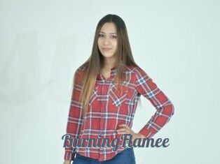 BurningFlamee
