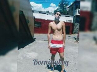 Borningboy