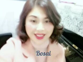 Bosai