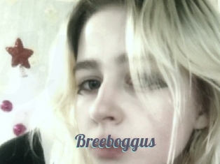 Breeboggus