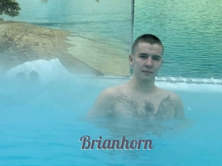 Brianhorn