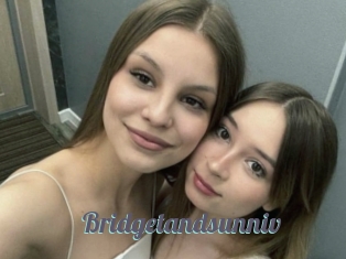 Bridgetandsunniv