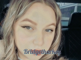 Bridgetharkey