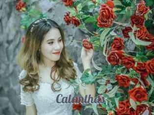 Calanthas