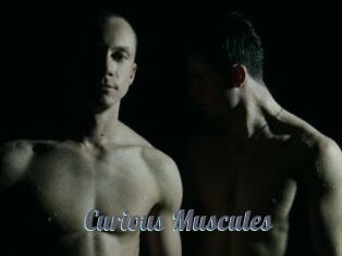 Curious_Muscules