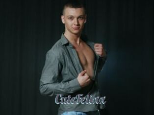 CuteFelixx