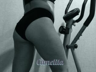 Camelita