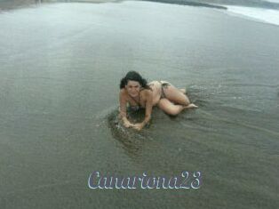 Canariona23