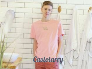 Casiolarry