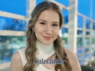 Cateclutter