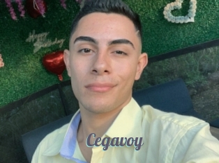 Cegavoy