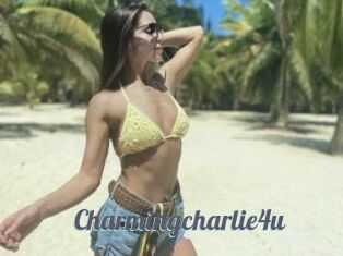Charmingcharlie4u