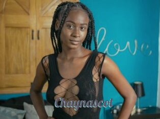 Chaynascot
