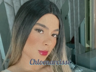 Extraits Video Gratuites