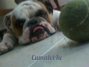 Cumalot4u