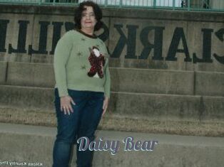 Daisy_Bear