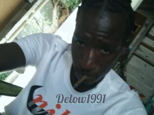 Delow1991