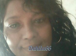Dahlia66