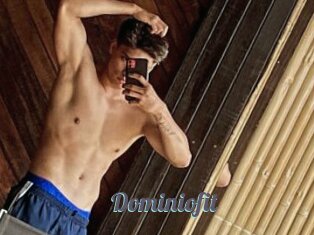 Dominiofit