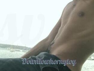 Downlowhornytoy