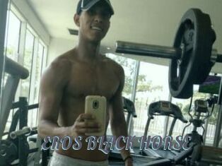 EROS_BLACK_HORSE
